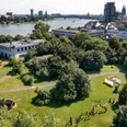 Skulpturenpark Köln Luftaufnahme eines grünen Parks mit Skulpturen am Rhein vor urbaner Kulisse in Köln