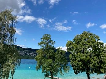 Seeufer in Strandbad Seerose in Meisterschwanden