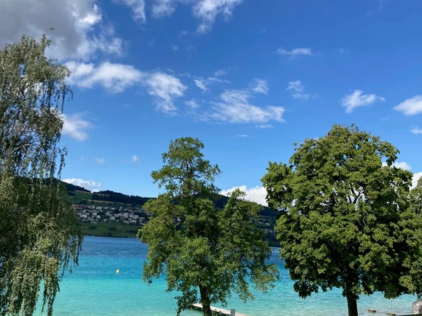 Seeufer in Strandbad Seerose in Meisterschwanden