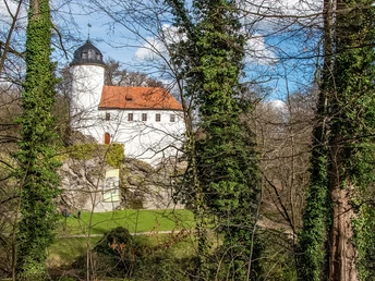 Blick auf Burg Rabenstein