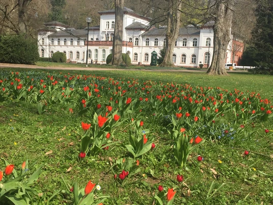 Badehaus_Frühling_Tulpen__2021_BS.JPG
