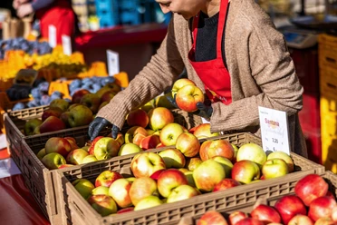 Äpfel vom Wochenmarkt