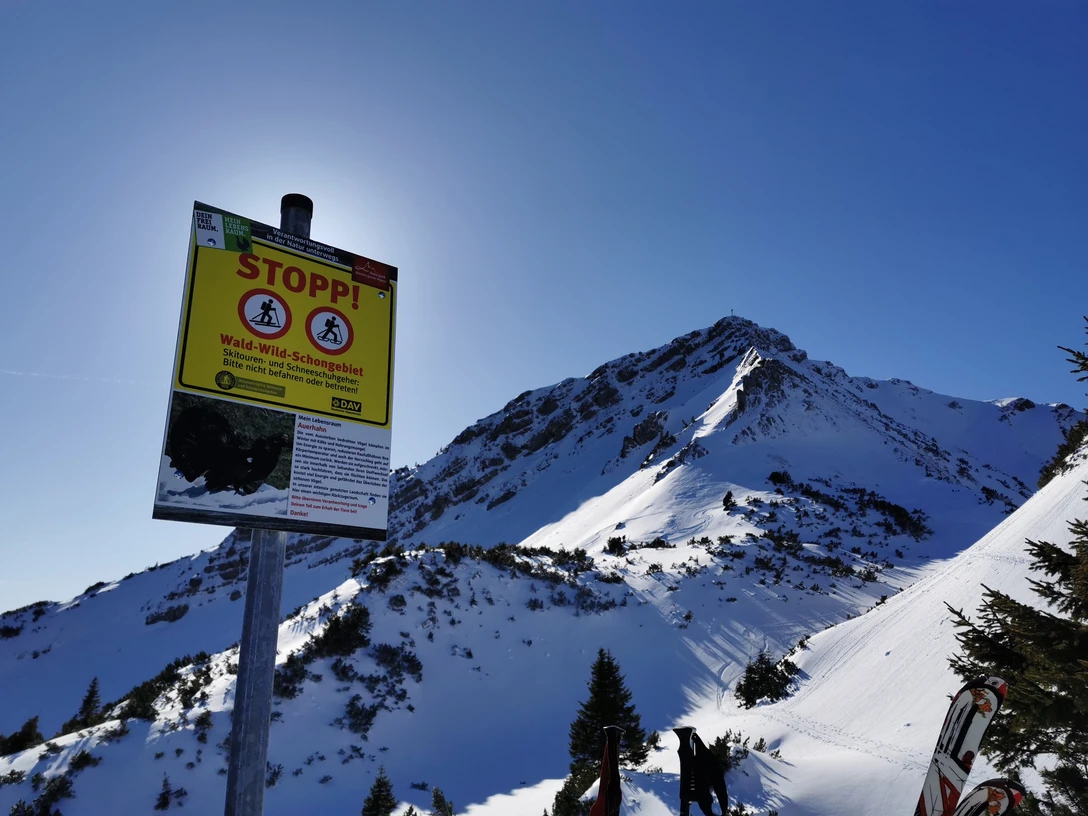 Scheinberg_Schild (c)Naturpark Ammergauer Alpen e.V. Foto Dominik Landerer.jpg