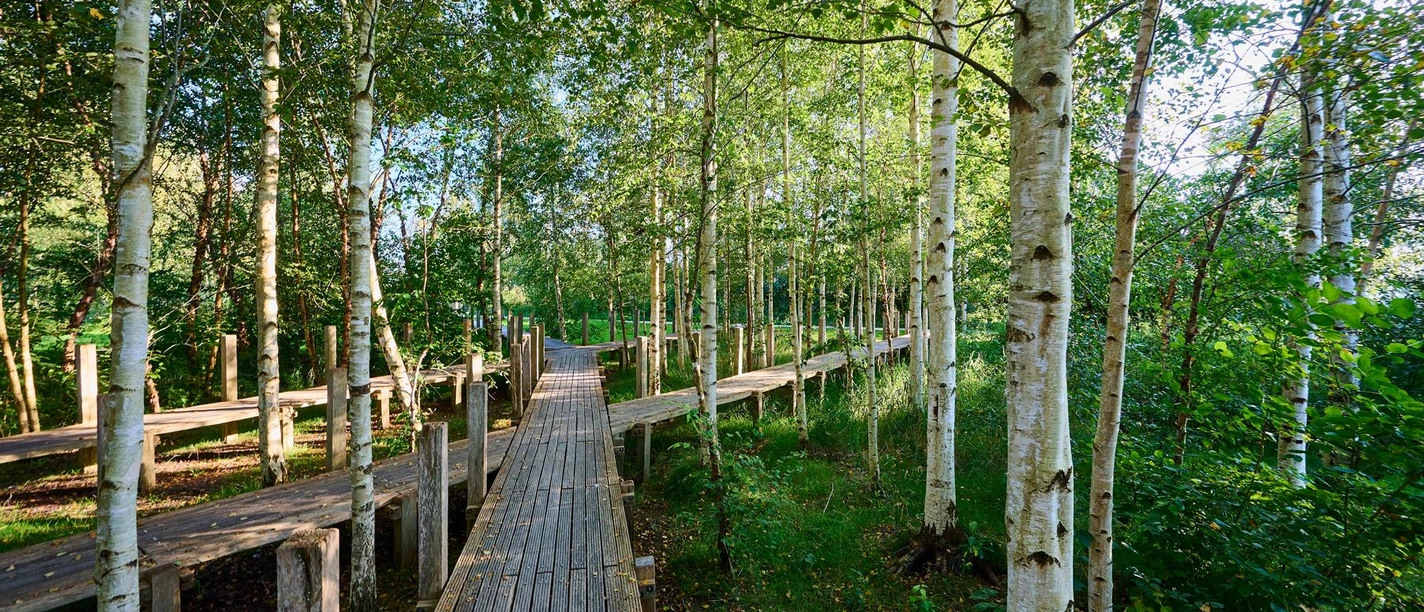 wanderweg_schleswig_koenigswiesen.JPG wanderweg_schleswig_koenigswiesen.JPG