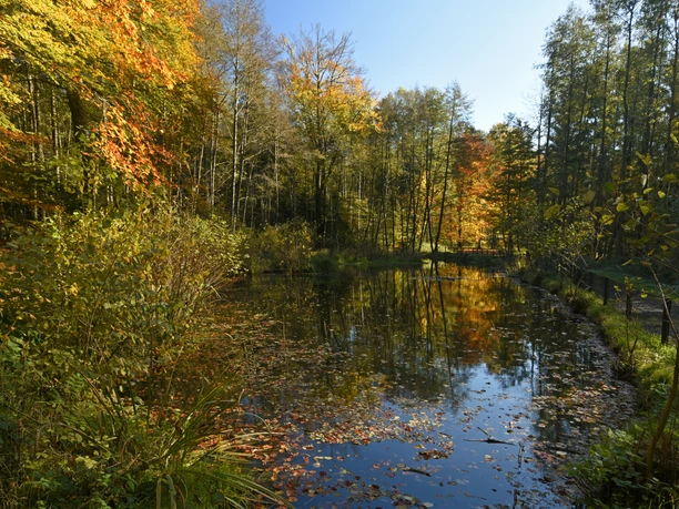 Försterteiche_Staffpark_10©LTM GmbH, F. Grawe.JPG