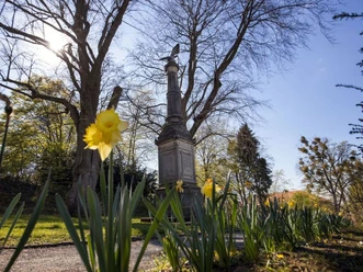 Denkmal Denkmal mit Säule und Adlerfigur, davor blühende Narzissen im Park