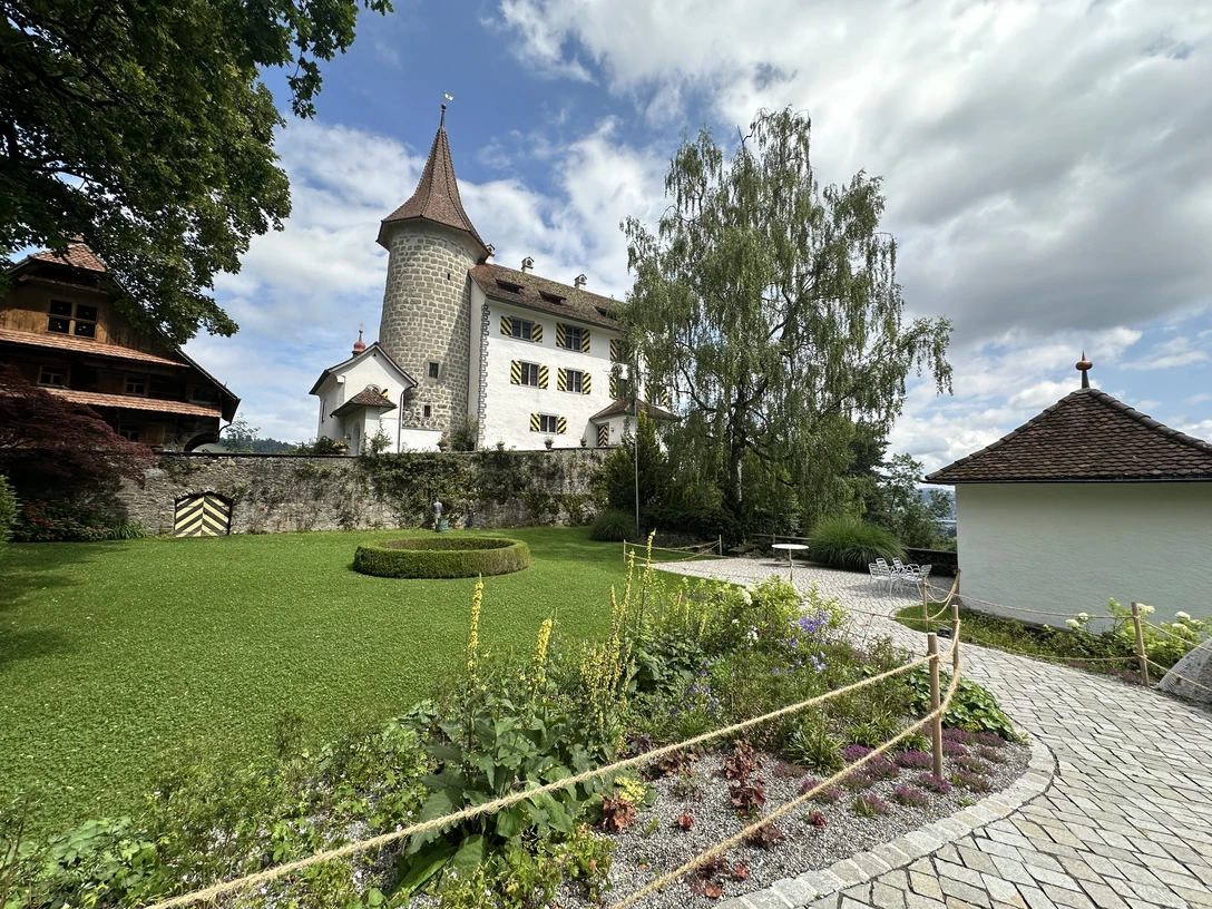 Foto neuer Schlossgarten
