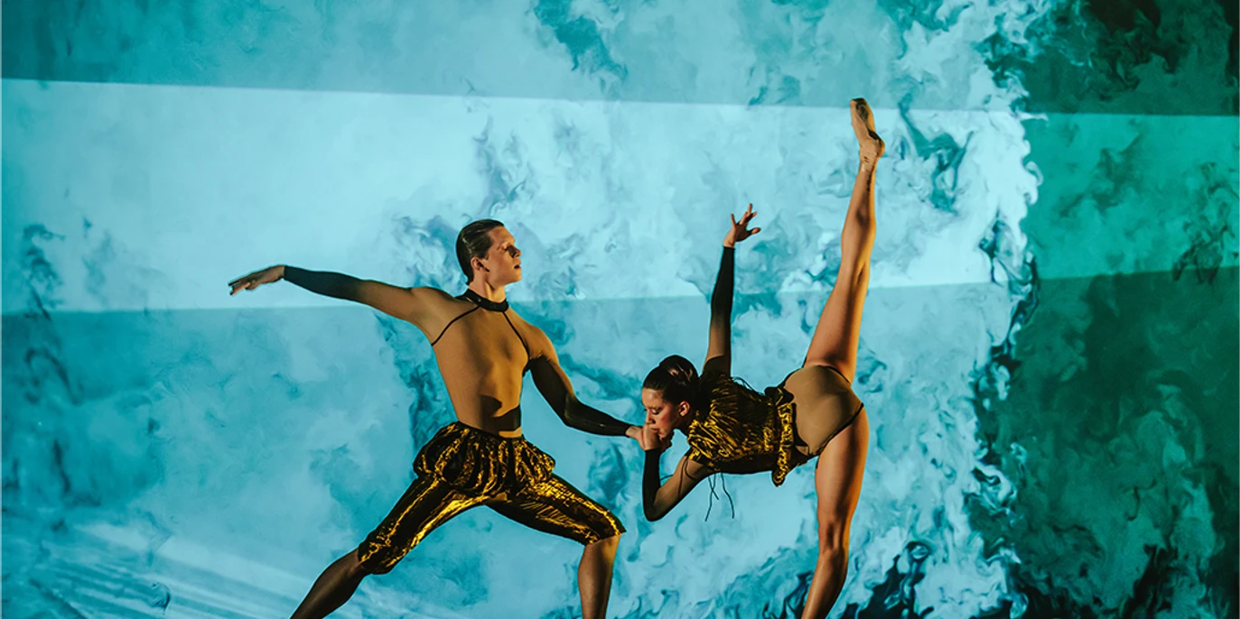 VHS Filmtheater Ballett Woolf Works 6