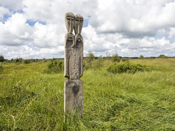 Ahlenmoor Totem Holzernes Totem in weiter Moorlandschaft unter weitem Himmel im Ahlenmoor