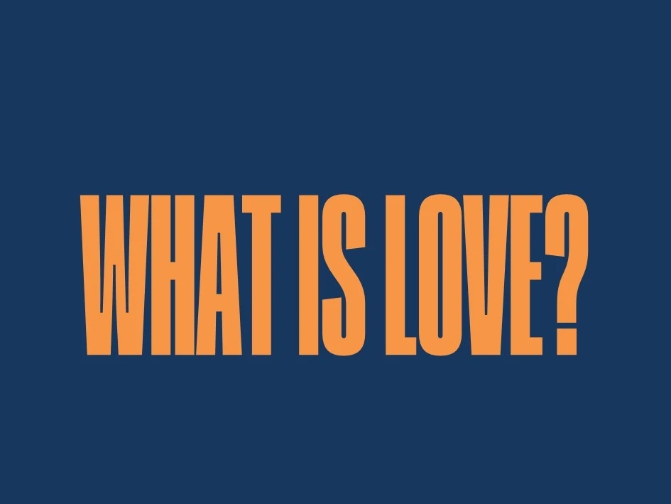 What is love 6