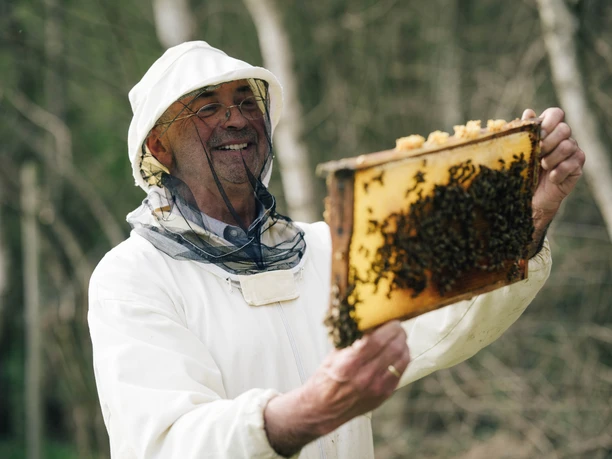 Bienen055