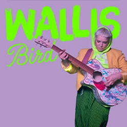 Person mit bunter Gitarre vor lila Hintergrund, daneben groß der Schriftzug Wallis Bird