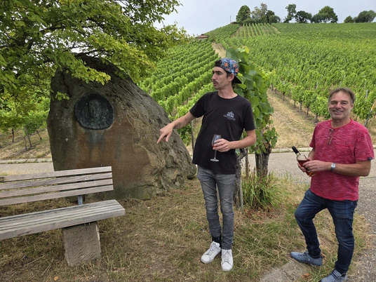 Weingut Bauer in Neckarsulm