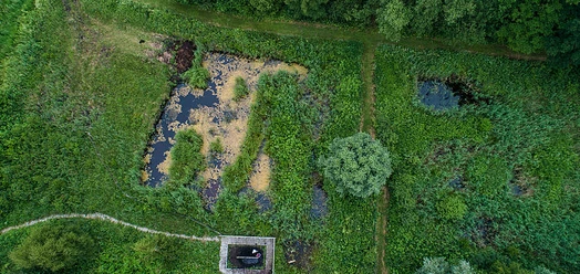 selected_selected_selected_selected_selected_selected_selected_csm_cropmiddle_Teutoburger_Wald_Horn-Bad_Meinberg_Moortretbecken_0472__c__Tourismus_NRW_e.V.__A1__c229e131d9.jpg