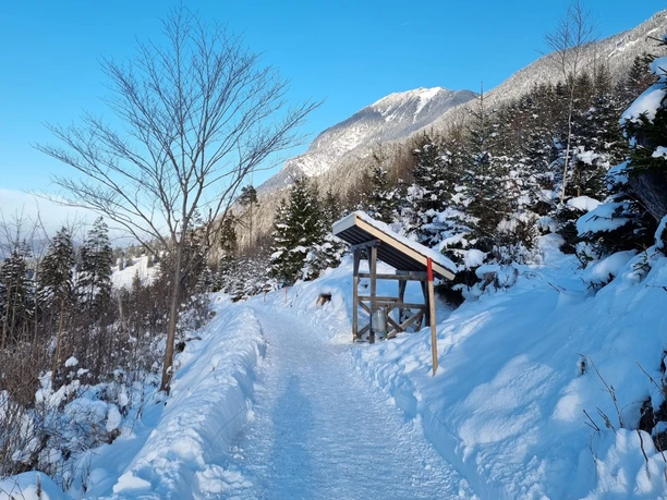 Philosophenweg in Richtung Farchant Verschneiter Bergweg mit Holzunterstand, umgeben von Nadelbäumen und sonnigen Gipfeln.