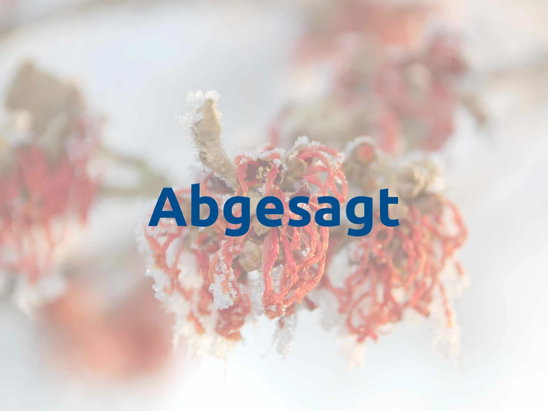 winterbluete_hamamelis-abgesagt.png