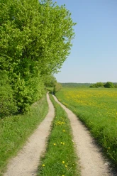 Wanderung Langestal Schlangen