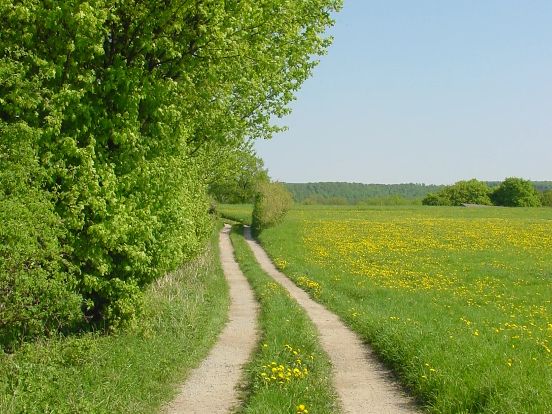 Wanderung Langestal Schlangen