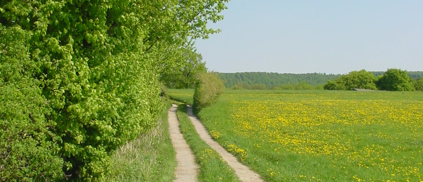 Wanderung Langestal Schlangen