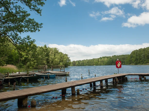 Steg Pipersee Ein Steg am Pipersee. Der See ist umgeben von Bäumen.