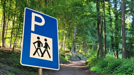 Parkplatzschild mit Wanderpiktogramm an Waldweg im Grünen