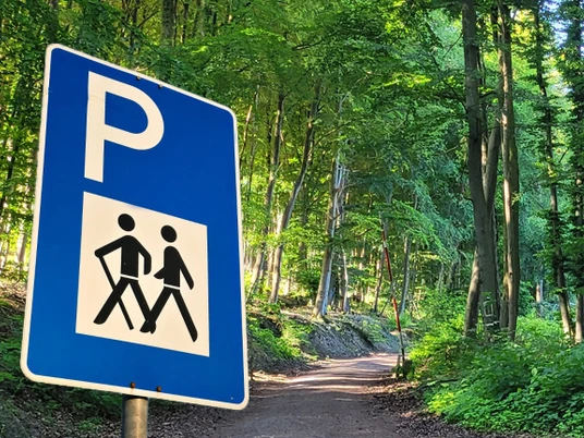 Wanderparkplatz Die westfälischen Sieben Parkplatzschild mit Wanderpiktogramm an Waldweg im Grünen