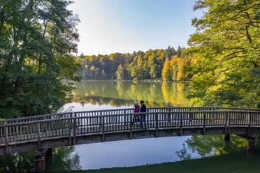 Wandern am Schmalsee Zwei Menschen laufen auf einer Brücke über den Schmalsee bei Mölln. Die umgebenden bäume strahlen in bunten Herbstfarben.