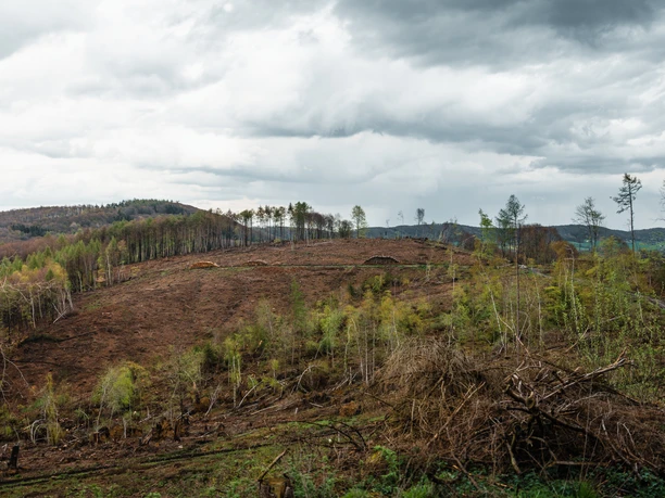 Wiehengebirge Christoph Partsch (3).jpg