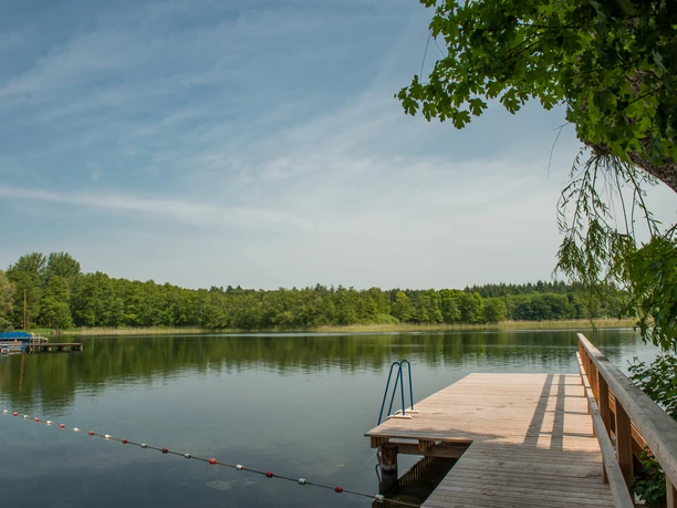 Badestelle in Seedorf Ein Badesteg in Seedorf lädt bei sommerlichen Bedingungen zum Sprung ins Wasser ein.