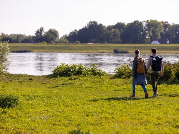 Ein Mann und eine Frau spazieren Hand in Hand über eine Wiese an der Elbe bei Lauenburg.