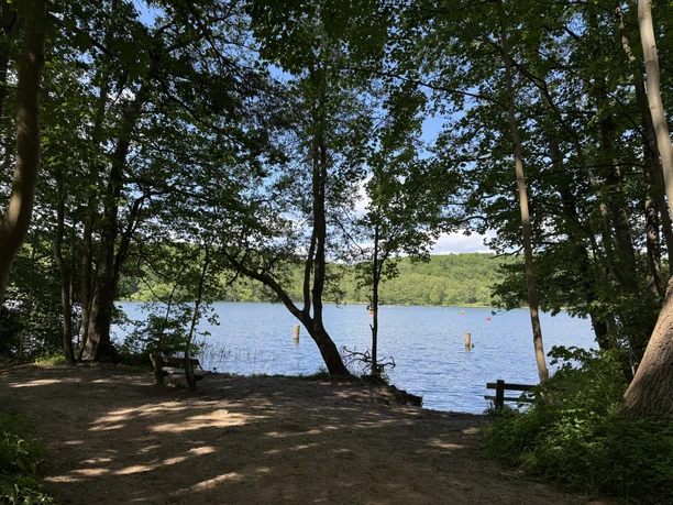 Küchensee, Farchau Vom Wanderweg blickt man aus dem Schatten durch Bäume auf den Küchensee.