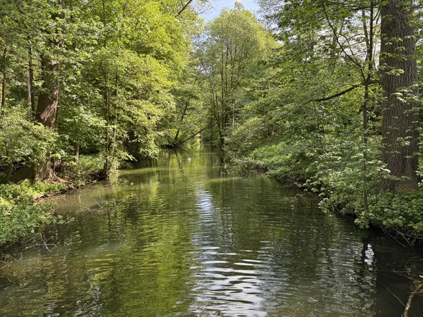 Schaalseekanal, Farchau Der Schaalseekanal bei Farchau im Sommer.