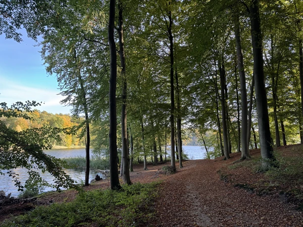 Wanderweg am Westufer des Lütauer Sees bei Mölln im Herbst. Die Bäume sind bunt.
