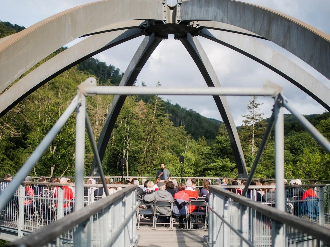 Krimilesung in den Wipfeln.jpg