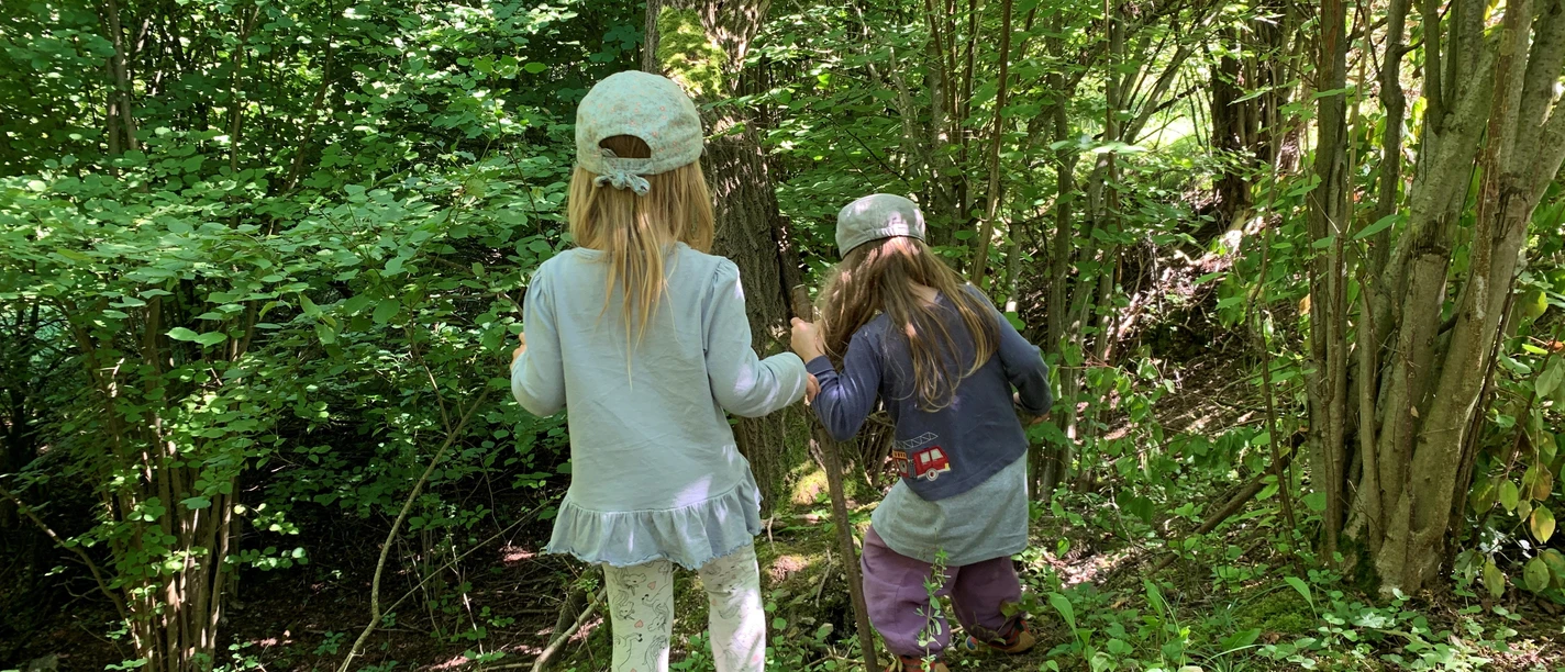 Spüren, Schnuppern, Staunen - Mit allen Sinnen die Natur entdecken