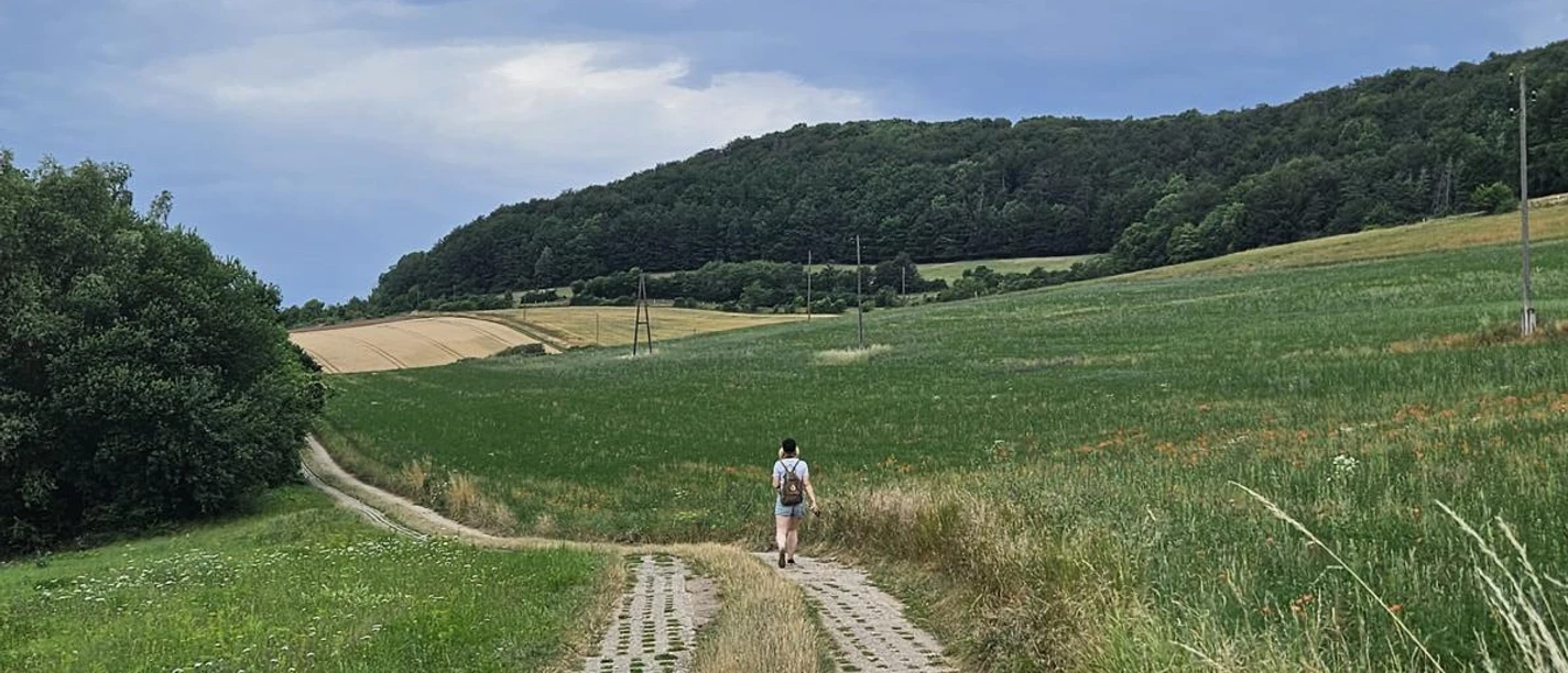 Wanderweg "Grünes Band "