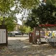 Alte Feuerwache Entrance to the Old Fire Station Cologne with billboard, trees and paved courtyard area.