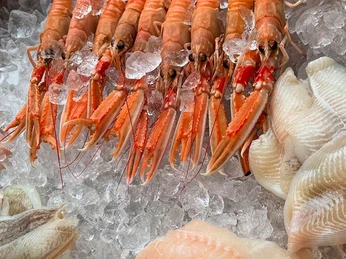 Havets_Perle-Jomfuhummer©Havets_Perle