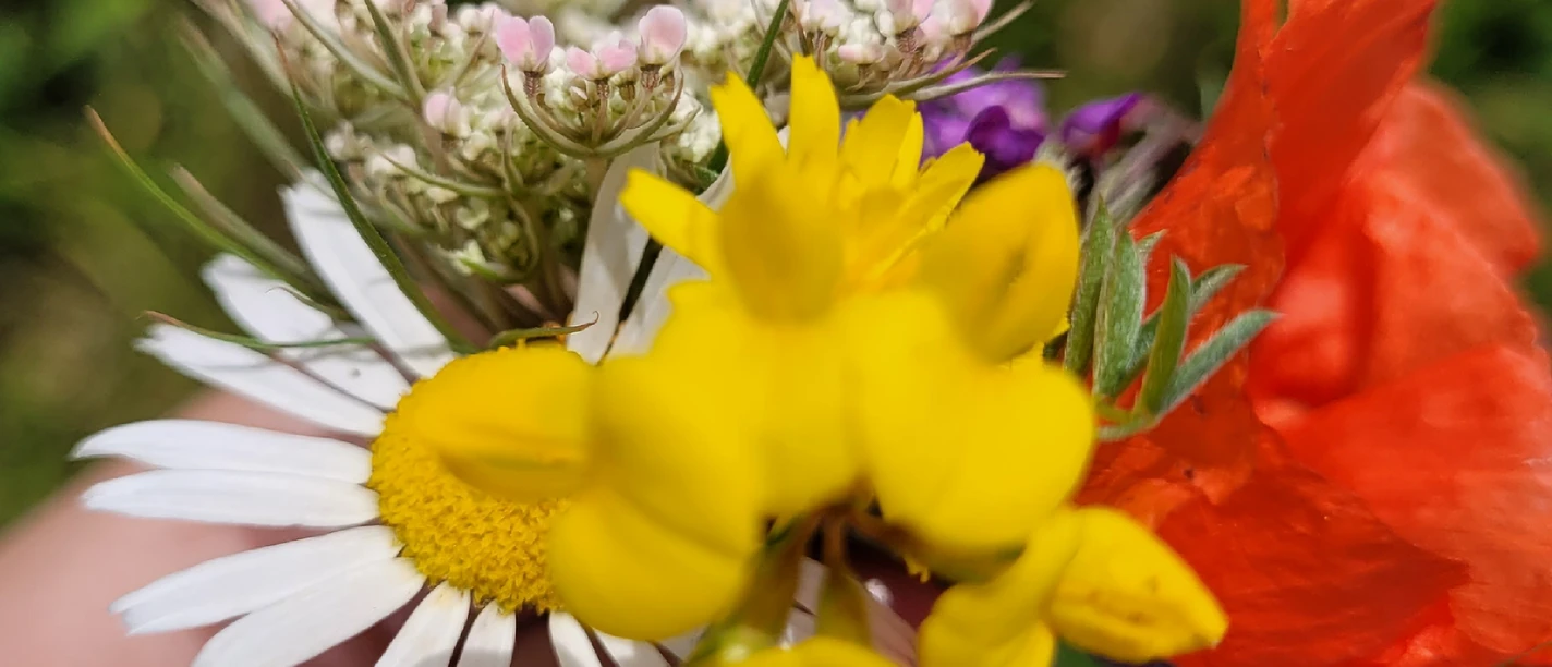 Blumenstrauß