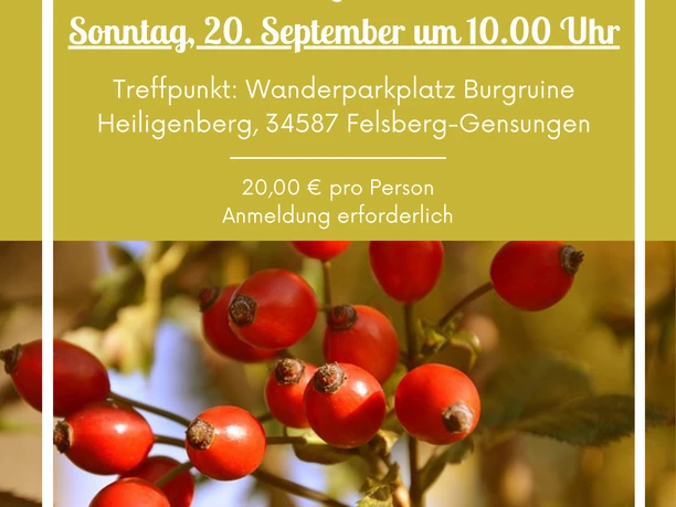 Herbstfreuden 20.9.2026