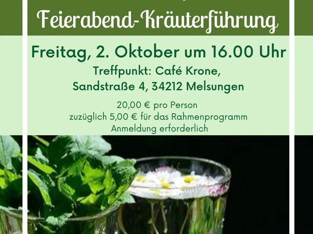 Grüne Hausapotheke 2.10.2026
