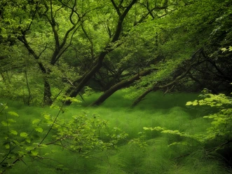 naturmomente