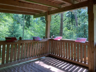Kanzel oben Andrea_Bonauer.jpg Holzplattform mit roten Infotafeln, umgeben von dichtem Wald und Sonnenlicht zwischen den Bäumen.
