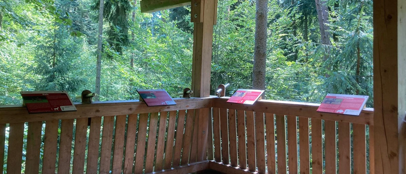 Kanzel oben Andrea_Bonauer.jpg