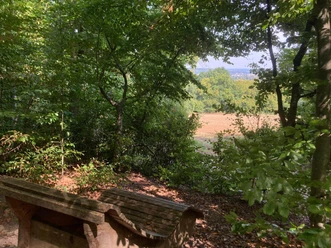 Liegebank bei Labyrinth 2 Andrea_Bonauer.jpg Holzliegebank im Wald mit Blick durch Bäume auf ein sonniges Feld in der Ferne