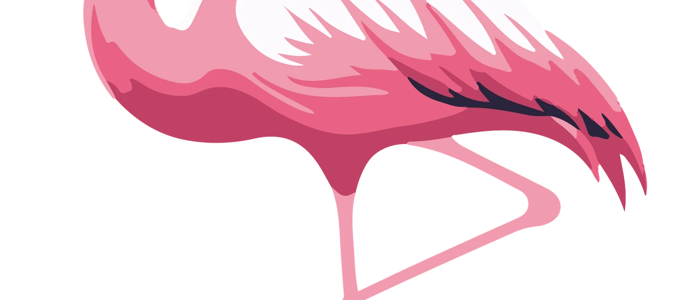 Tropennacht_Flamingo.png