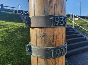 20210126_131019 (c) Jasmin Emilia Meyer_Erlebnis Bremerhaven_WEB.jpg Jahresringe am Sturmflutpfahl am Weserdeich in Bremerhaven