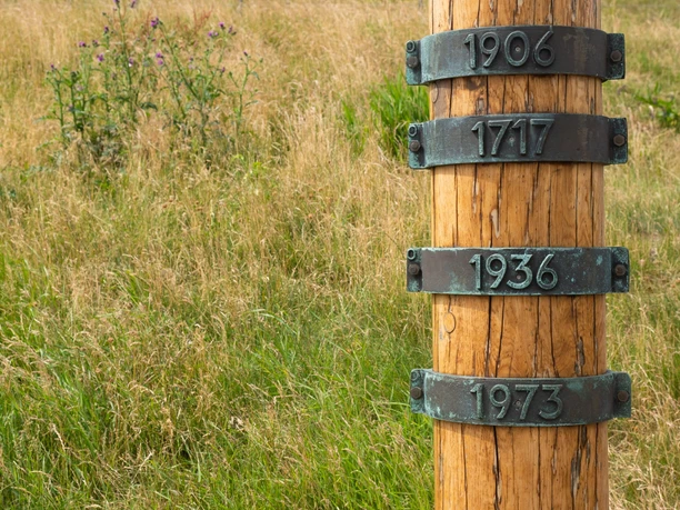 Sturmflutpfahl_DSM (c) Mareike Heger_DSM_WEB.jpg Jahresringe am Sturmflugpfahl