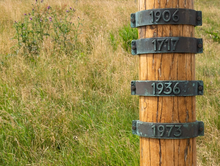 Sturmflutpfahl_DSM (c) Mareike Heger_DSM_WEB.jpg Jahresringe am Sturmflugpfahl