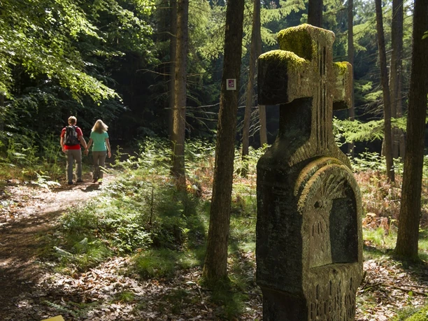 Unterwegs auf der Traumschleife Steinhauerweg